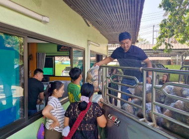สำนักงานสหกรณ์จังหวัดเชียงรายกระจายผลผลิตสับปะรดภูแลออกนอกพื้นที่การผลิต ... พารามิเตอร์รูปภาพ 11